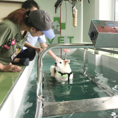 Hydrotherapy is a physical therapy